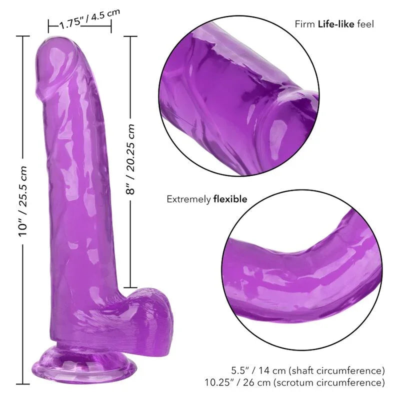CALEXOTICS - SIZE QUEEN DILDO LILA 20.3 CM - Nuvica