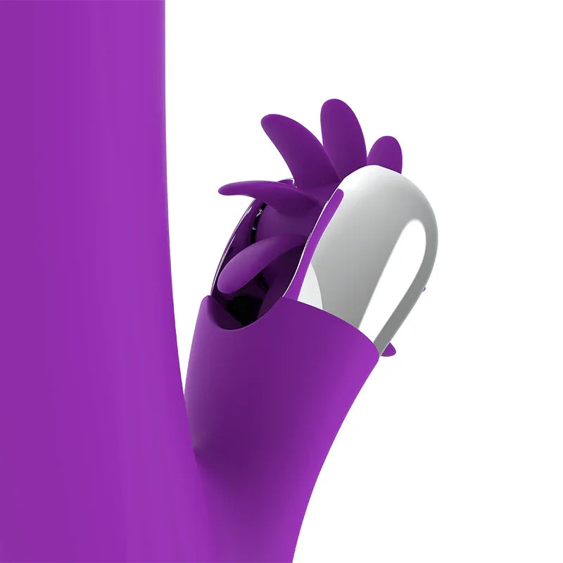 FUN FUNCTION - BUNNY FUNNY ROTATION 2.0 - Nuvica