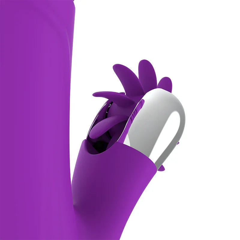 FUN FUNCTION - BUNNY FUNNY UP & DOWN 2.0 - Nuvica