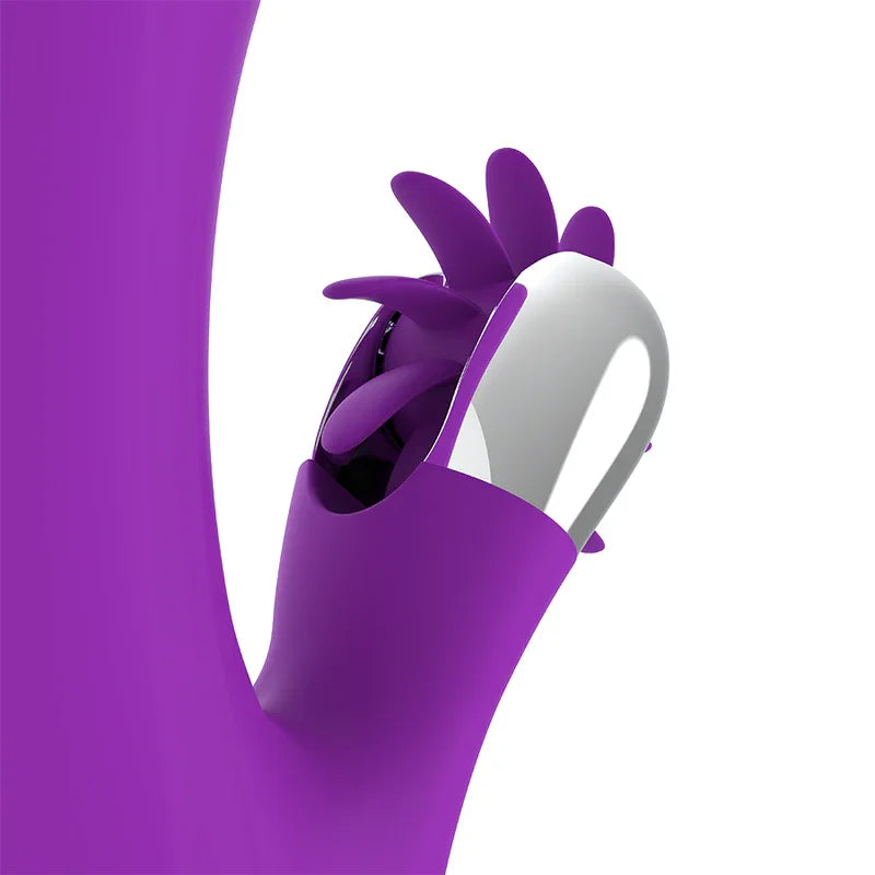 FUN FUNCTION - BUNNY FUNNY WAVE 2.0 - Nuvica