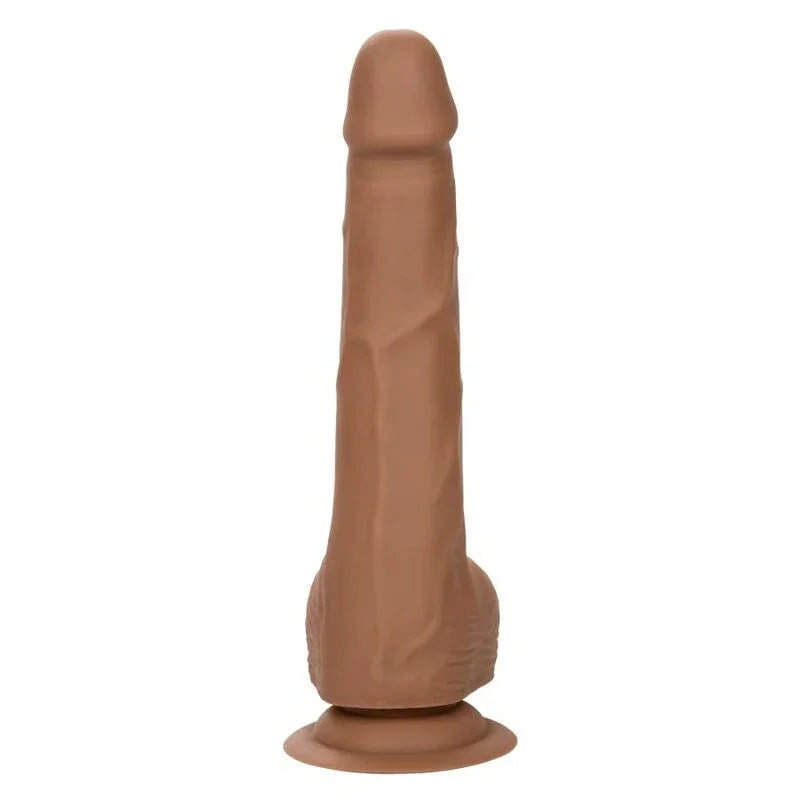 CALEXOTICS - SILICONE STUDS 20.32 CM BROWN - Nuvica