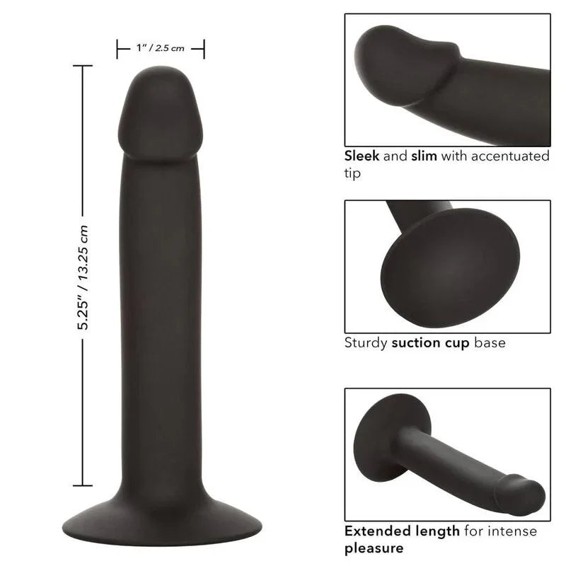 CALEXOTICS - SLIM ANAL STUD - Nuvica