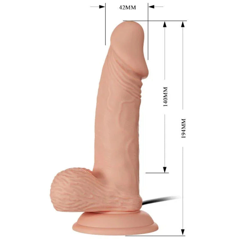 BAILE - BEAUTIFUL ENCOUNTER ZEBULON VIBRACIÓN 19.4 CM NATURAL - Nuvica