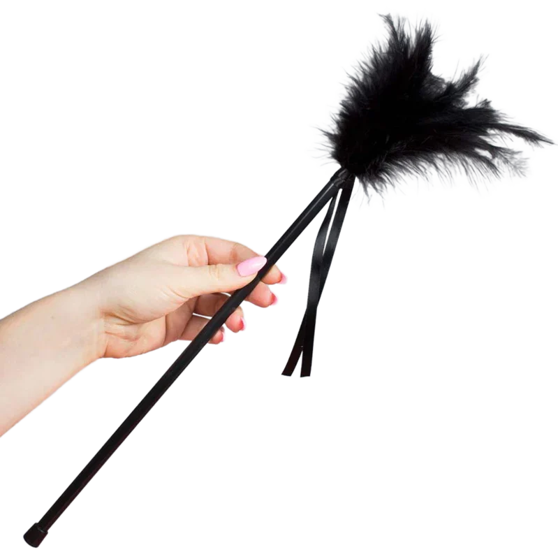 SECRETPLAY - PLUMERO PLUMAS NEGRO 40 CM - Nuvica