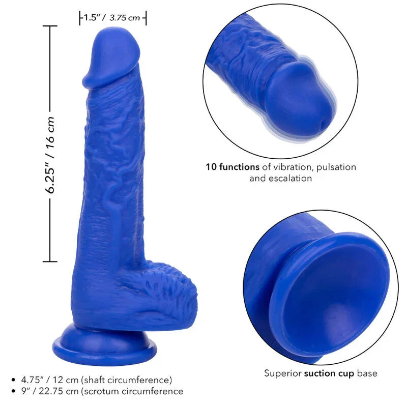CALEXOTICS - ADMIRAL SAILOR DILDO REALÍSTICO VIBRADOR AZUL - Nuvica