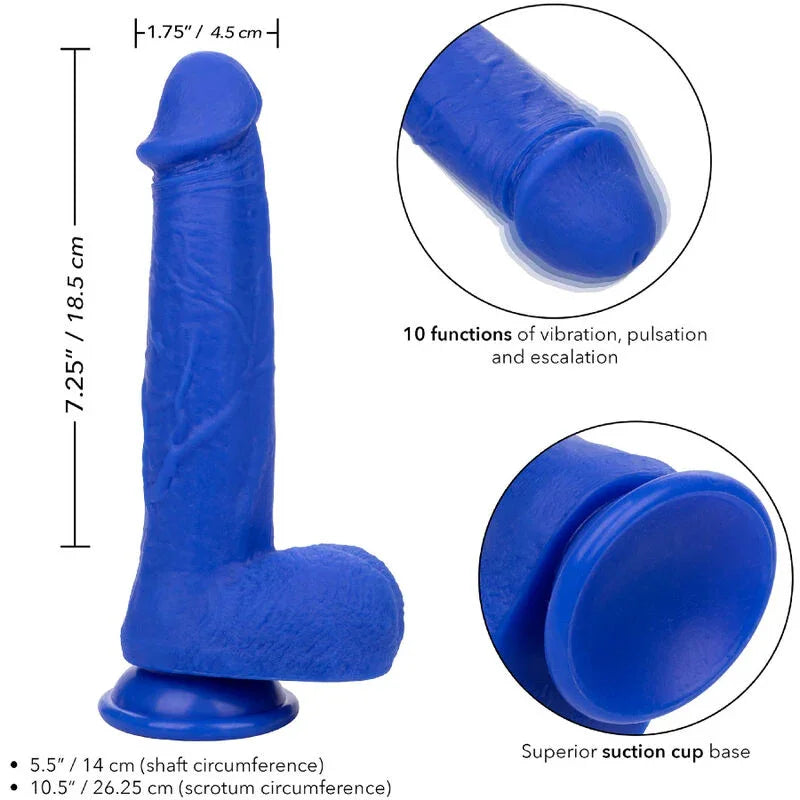 CALEXOTICS - ADMIRAL CAPTAIN DILDO REALÍSTICO VIBRADOR AZUL - Nuvica