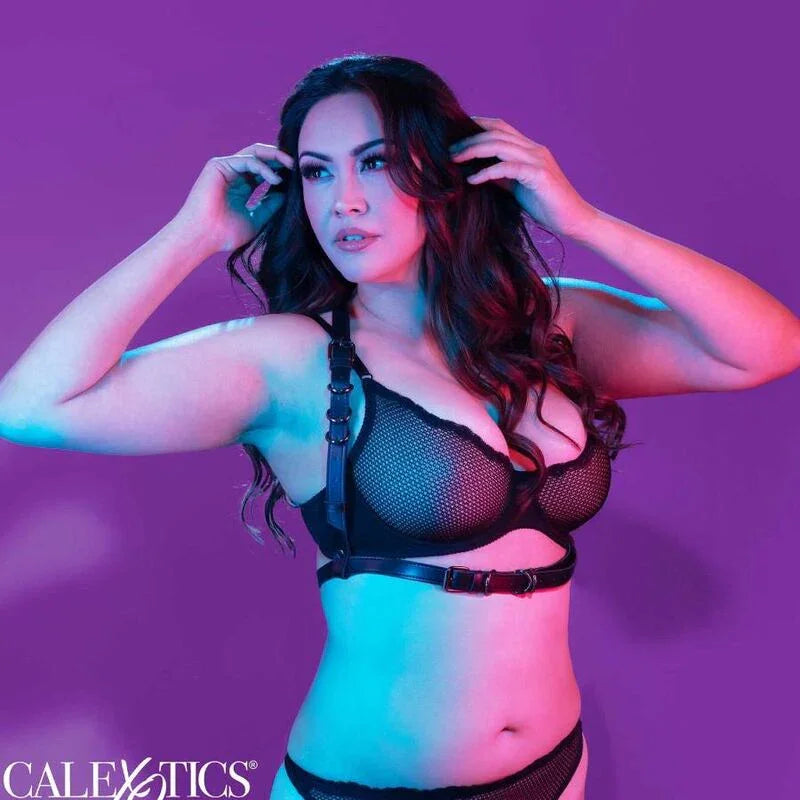 CALEXOTICS - EUPHORIA ARNÉS HATLER CON HEBILLA TALLA GRANDE NEGRO - Nuvica