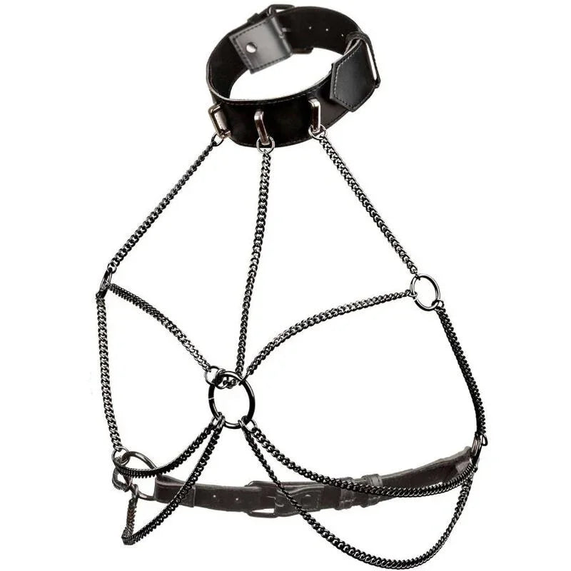 CALEXOTICS - EUPHORIA ARNÉS DE CUELLO DE CADENA - Nuvica