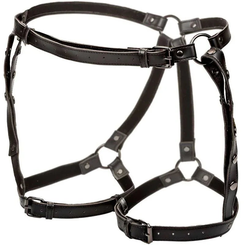 CALEXOTICS - EUPHORIA ARNÉS DE MUSLO EQUITACIÓN TALLA GRANDE - Nuvica