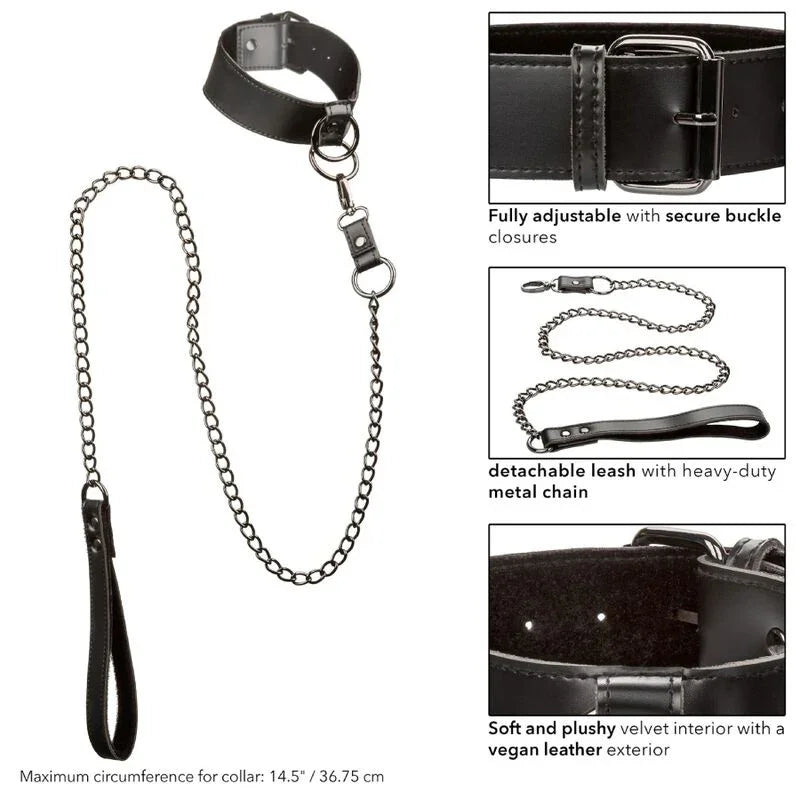 CALEXOTICS - EUPHORIA COLLAR CON CORREA DE CADENA - Nuvica