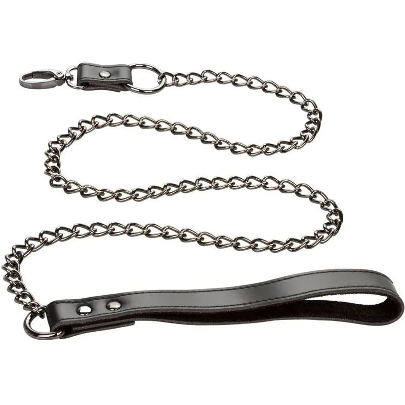 CALEXOTICS - EUPHORIA COLLAR CON CORREA DE CADENA - Nuvica