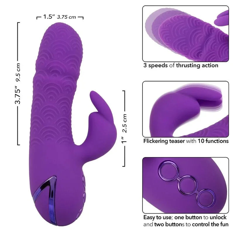 CALEXOTICS - MANHATTAN BEACH MARVEL VIBRADOR RABBIT MORADO BY CALIFORNIA DREAMING - Nuvica