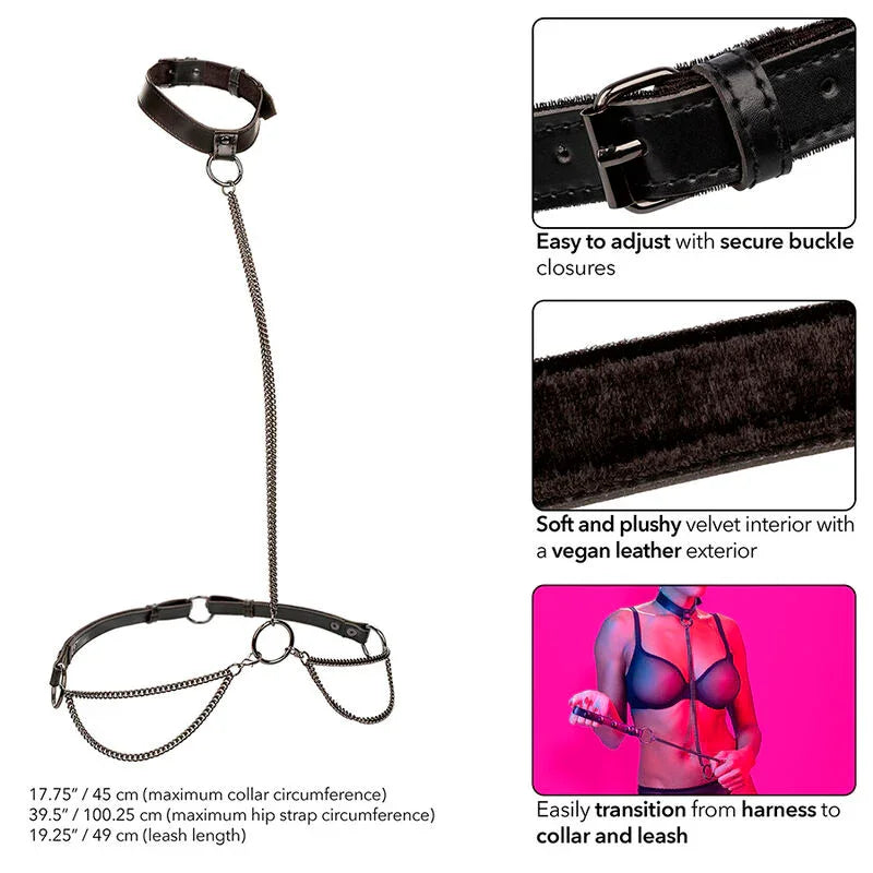 CALEXOTICS - EUPHORIA COLLAR HALTER Y CORREA CON CADENA - Nuvica