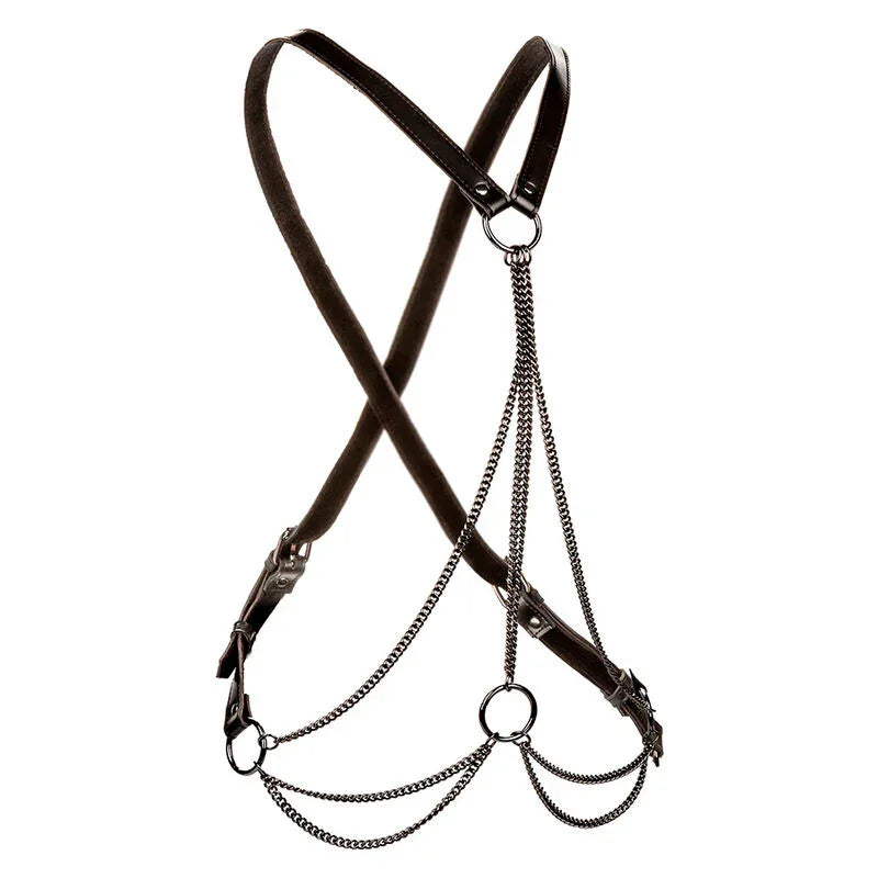 CALEXOTICS - EUPHORIA ARNÉS DE MÚLTIPLES CADENAS PREMIUM TALLA PLUS - Nuvica
