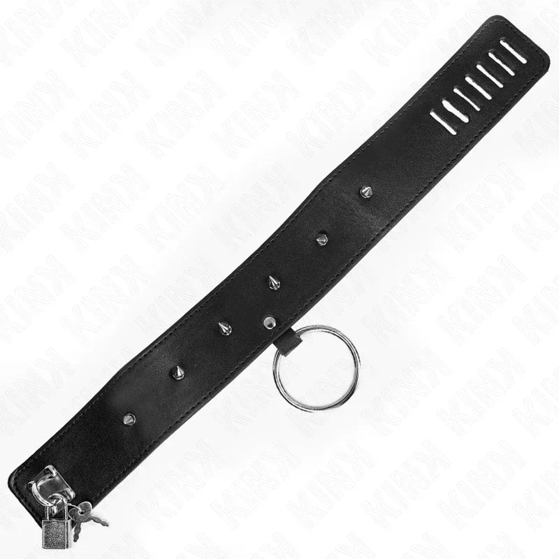 KINK - COLLAR CON CORREA 65 CM CON TACHUELAS PLATEADAS MODELO 2 AJUSTABLE 36-43 CM X 5 CM - Nuvica