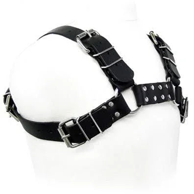 LEATHER BODY - BLACK BULL DOG HARNESS - Nuvica