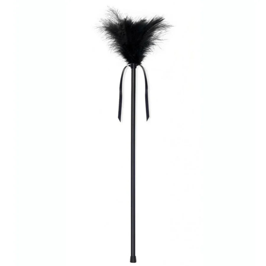 SECRETPLAY - PLUMERO PLUMAS NEGRO 40 CM - Nuvica