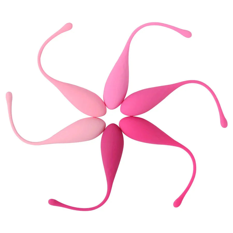 LESLIE - KEGEL FIT ENTREGADOR SUELO PELVICO 6 PESOS - Nuvica