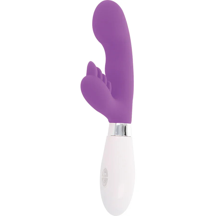 GLOSSY - RABBIT ELVIS LILA - Nuvica