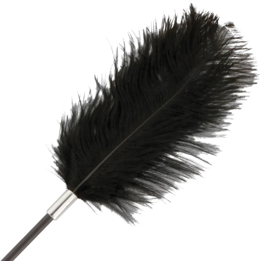 DARKNESS - FUSTA CON PLUMA LOVE NEGRO 56 CM - Nuvica