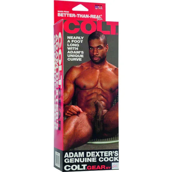 CALEXOTICS - COLT PENE REALÍSTICO ADAM DEXTER - Nuvica