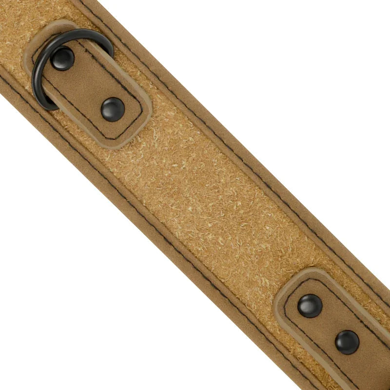 FETISH SUBMISSIVE ORIGEN - COLLAR CON CADENA CON FORRO DE NEOPRENO - Nuvica