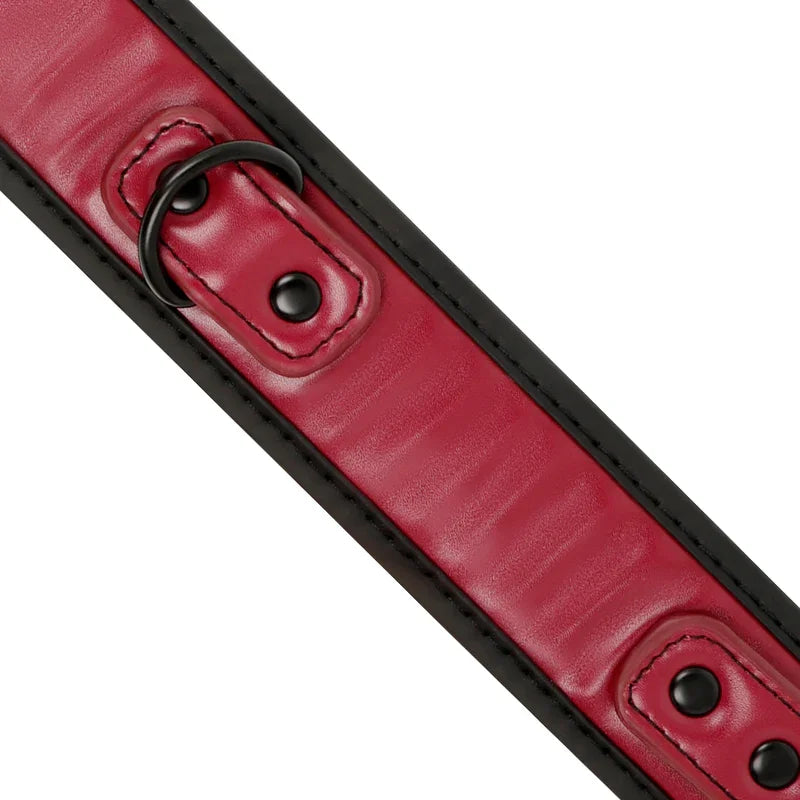 FETISH SUBMISSIVE DARK ROOM - COLLAR CON CADENA CON FORRO DE NEOPRENO - Nuvica