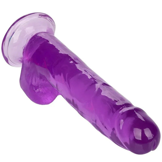 CALEXOTICS - SIZE QUEEN DILDO LILA 20.3 CM - Nuvica