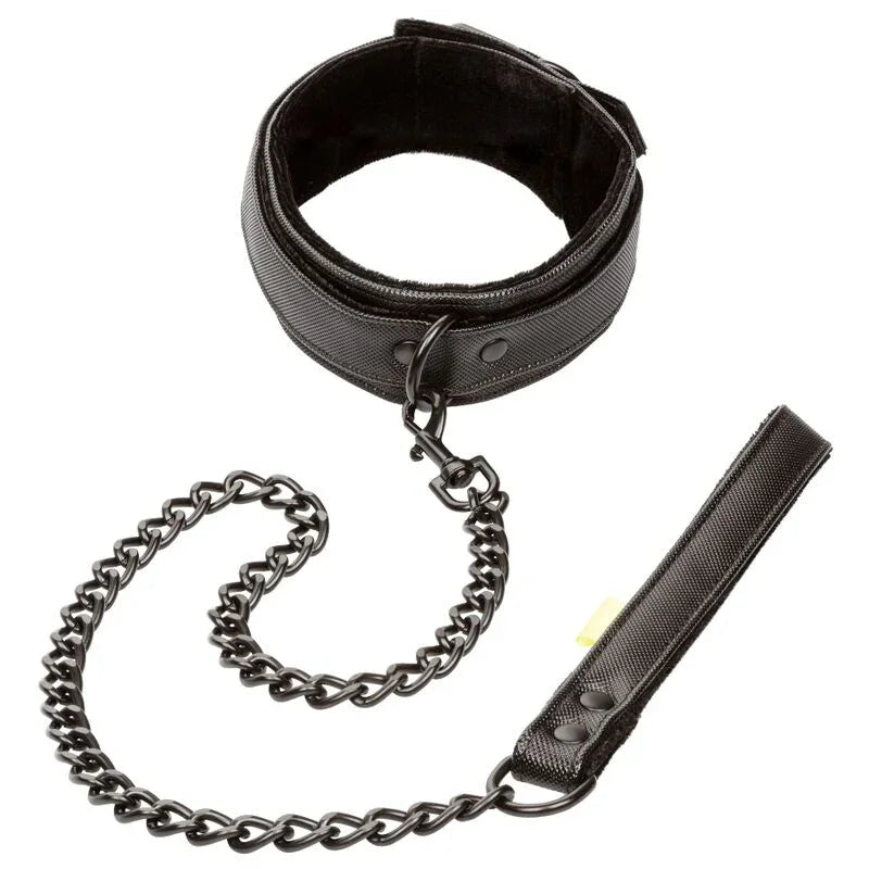 CALEXOTICS - BOUNDLESS COLLAR CON CORREA - Nuvica