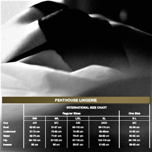 PENTHOUSE - BEDTIME SURPRISE VESTIDO XL - Nuvica