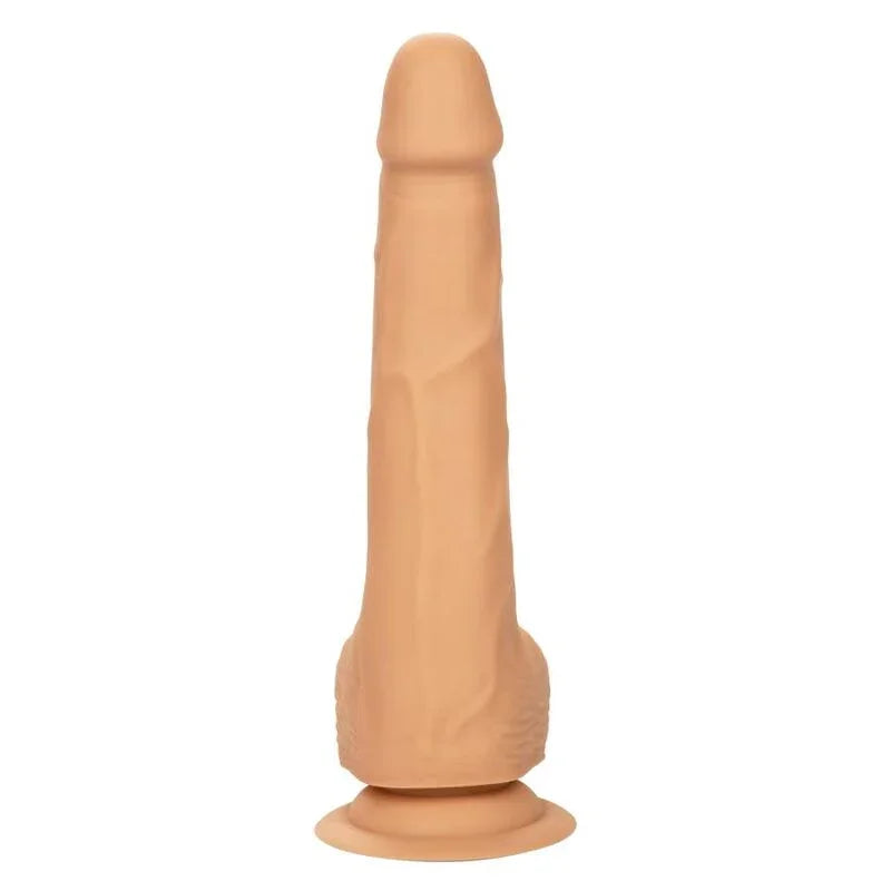 CALEXOTICS - SILICONE STUDS 20.32 CM SKIN - Nuvica