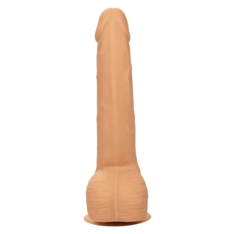 CALEXOTICS - SILICONE STUDS 20.32 CM SKIN - Nuvica