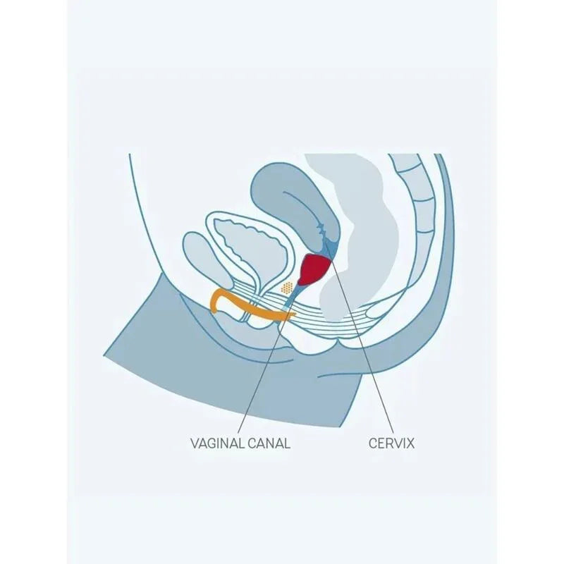 FUN FACTORY - FUN COPA VAGINAL TALLA B UVS - Nuvica
