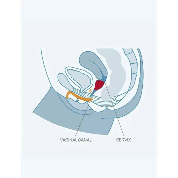 FUN FACTORY - FUN COPA VAGINAL TALLA B UVS - Nuvica