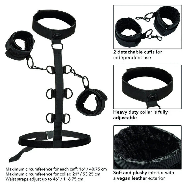 CALEXOTICS - BOUNDLESS SUJECCIÓN DEL CUERPO Y EL CUELLO - Nuvica