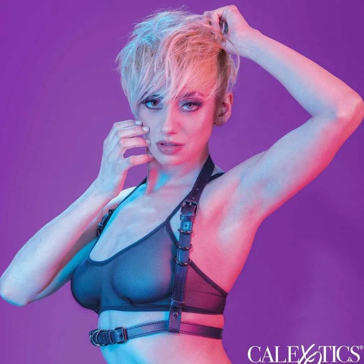 CALEXOTICS - EUPHORIA ARNÉS HATLER CON HEBILLA NEGRO - Nuvica