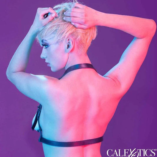 CALEXOTICS - EUPHORIA ARNÉS HATLER CON HEBILLA NEGRO - Nuvica