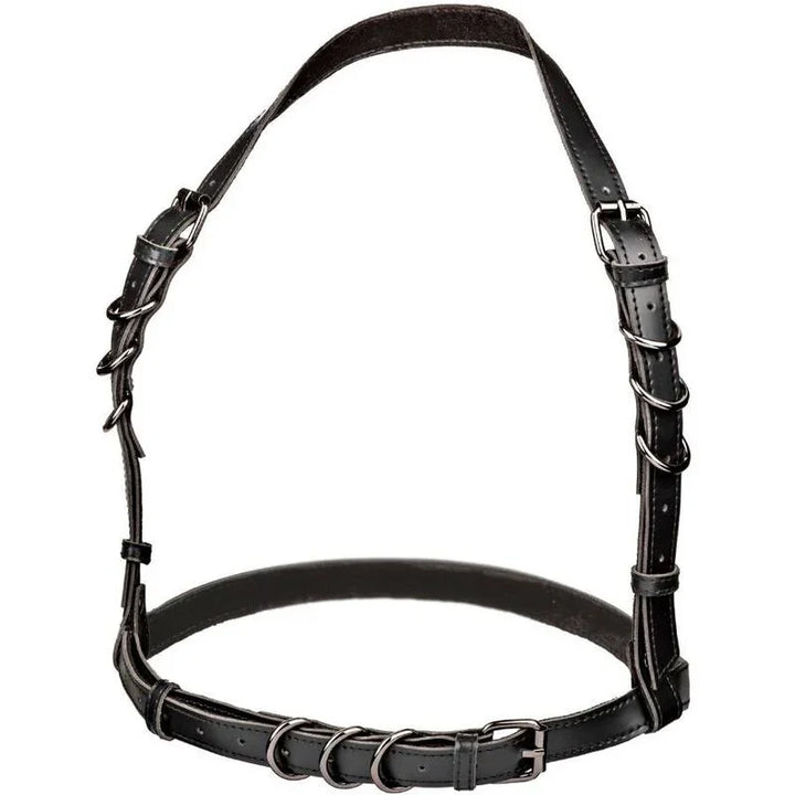 CALEXOTICS - EUPHORIA ARNÉS HATLER CON HEBILLA TALLA GRANDE NEGRO - Nuvica