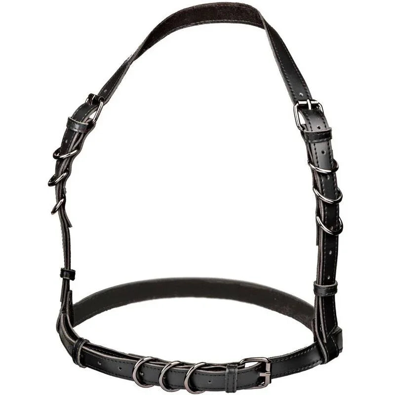 CALEXOTICS - EUPHORIA ARNÉS HATLER CON HEBILLA TALLA GRANDE NEGRO - Nuvica