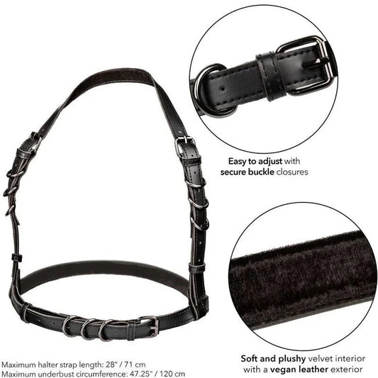 CALEXOTICS - EUPHORIA ARNÉS HATLER CON HEBILLA TALLA GRANDE NEGRO - Nuvica