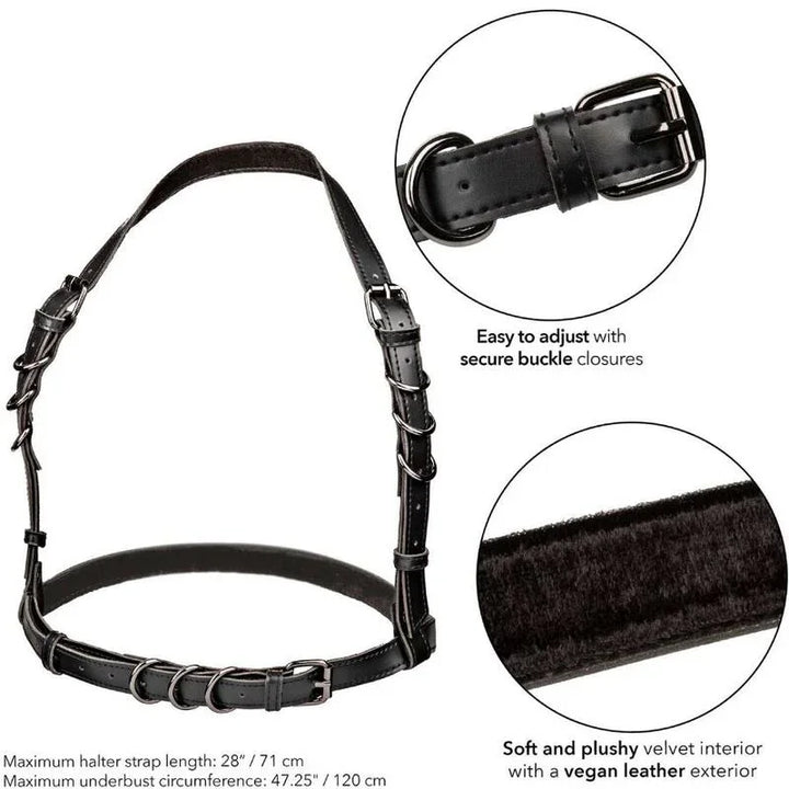 CALEXOTICS - EUPHORIA ARNÉS HATLER CON HEBILLA TALLA GRANDE NEGRO - Nuvica