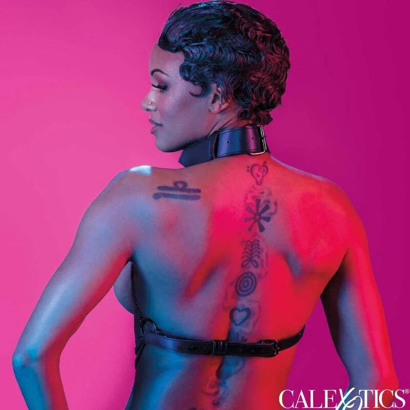 CALEXOTICS - EUPHORIA ARNÉS DE CUELLO DE CADENA - Nuvica