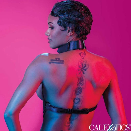 CALEXOTICS - EUPHORIA ARNÉS DE CUELLO DE CADENA - Nuvica