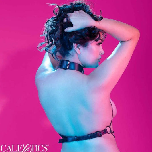 CALEXOTICS - EUPHORIA ARNÉS DE CUELLO DE CADENA TALLA GRANDE - Nuvica