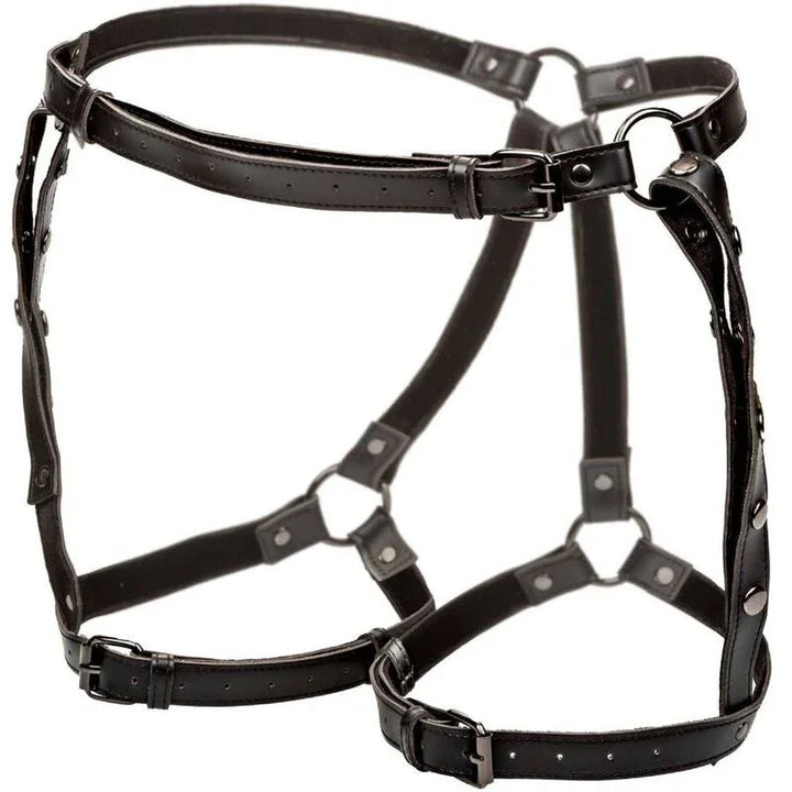 CALEXOTICS - EUPHORIA ARNÉS DE MUSLO EQUITACIÓN TALLA GRANDE - Nuvica
