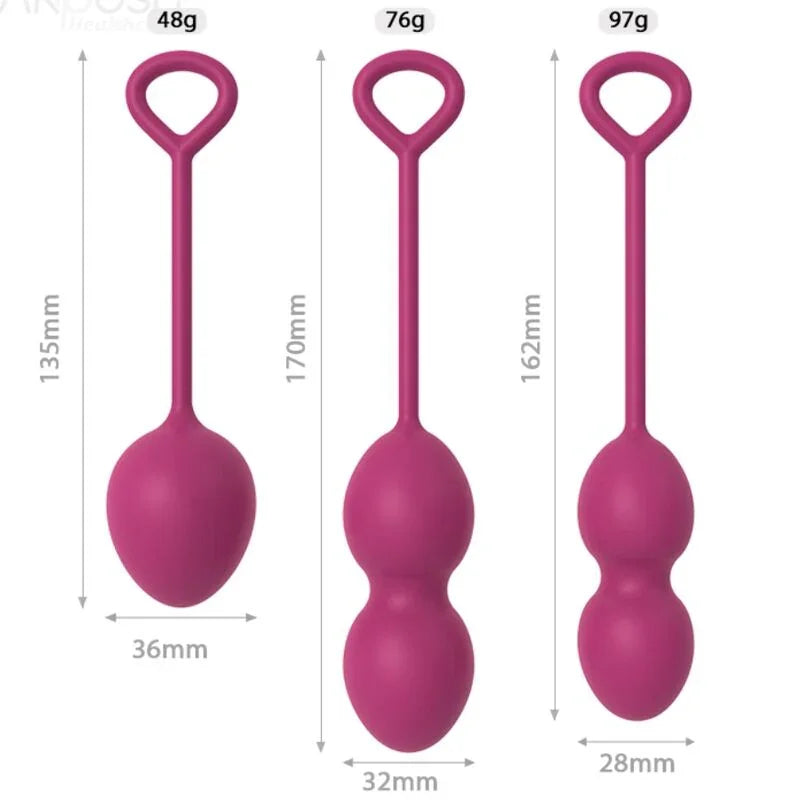 ARMONY - ANABIOSIS PESAS VAGINALES 3 NIVELES BUGAMBILLA - Nuvica