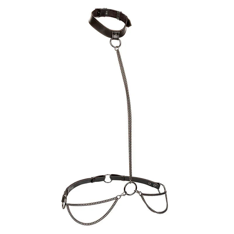 CALEXOTICS - EUPHORIA COLLAR HALTER Y CORREA CON CADENA - Nuvica