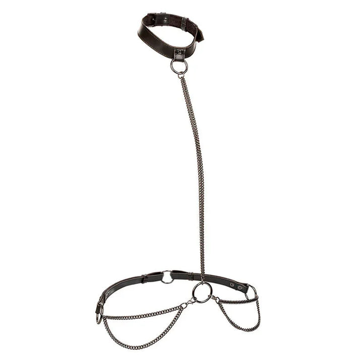 CALEXOTICS - EUPHORIA COLLAR HALTER Y CORREA CON CADENA - Nuvica