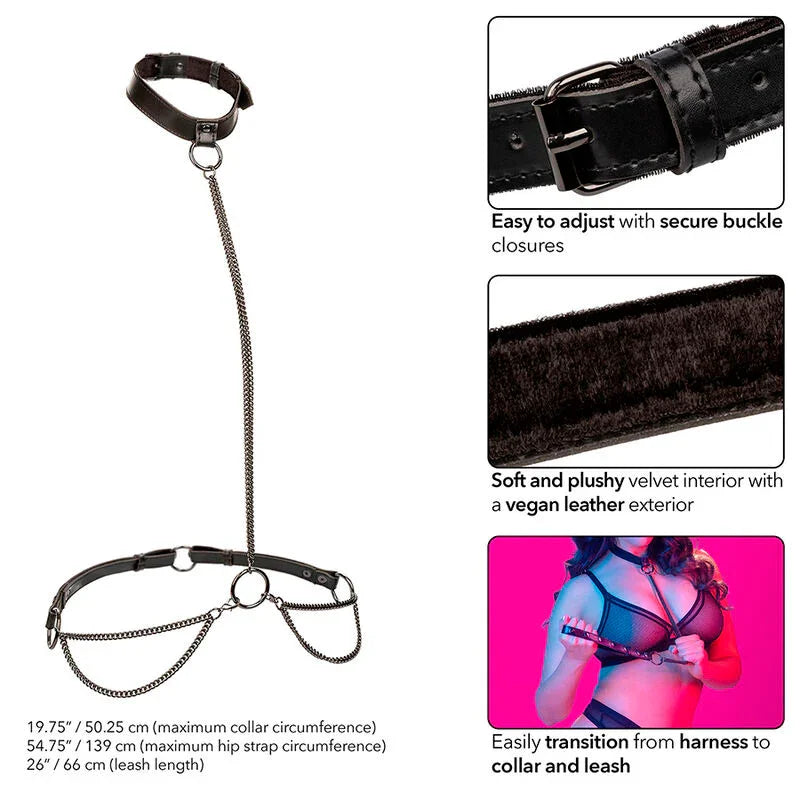 CALEXOTICS - EUPHORIA COLLAR HALTER Y CORREA CON CADENA TALLA PLUS - Nuvica