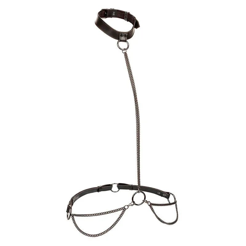 CALEXOTICS - EUPHORIA COLLAR HALTER Y CORREA CON CADENA TALLA PLUS - Nuvica